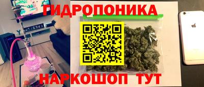 a pvp Волжск