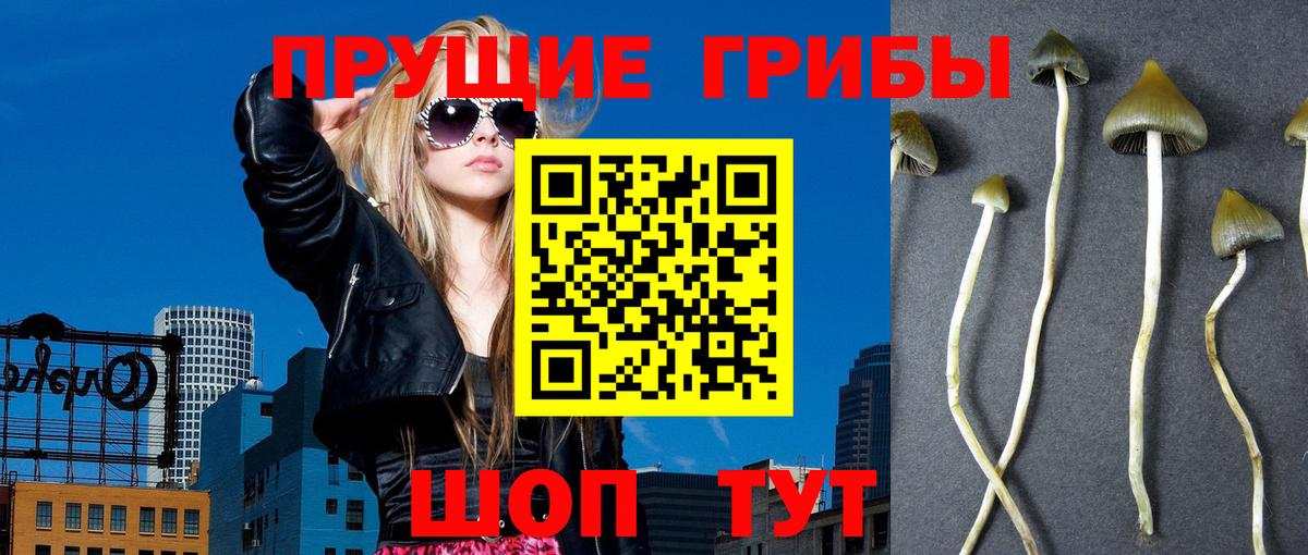 Галлюциногенные грибы MAGIC MUSHROOMS  Жигулёвск 