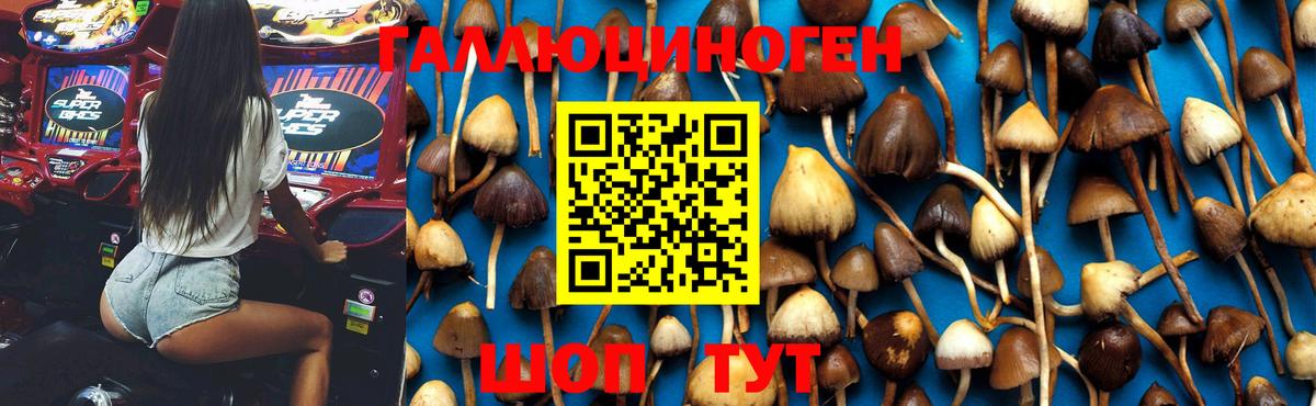 Галлюциногенные грибы ЛСД  Вход с VPN  Жигулёвск 